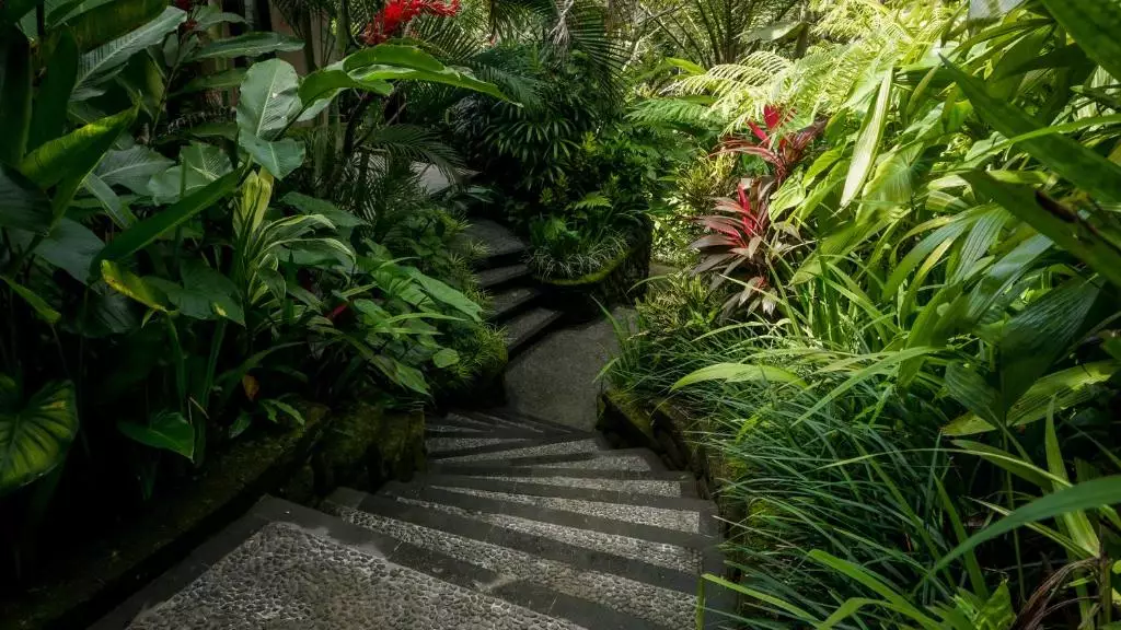 باغ هتل ساکتی گاردن